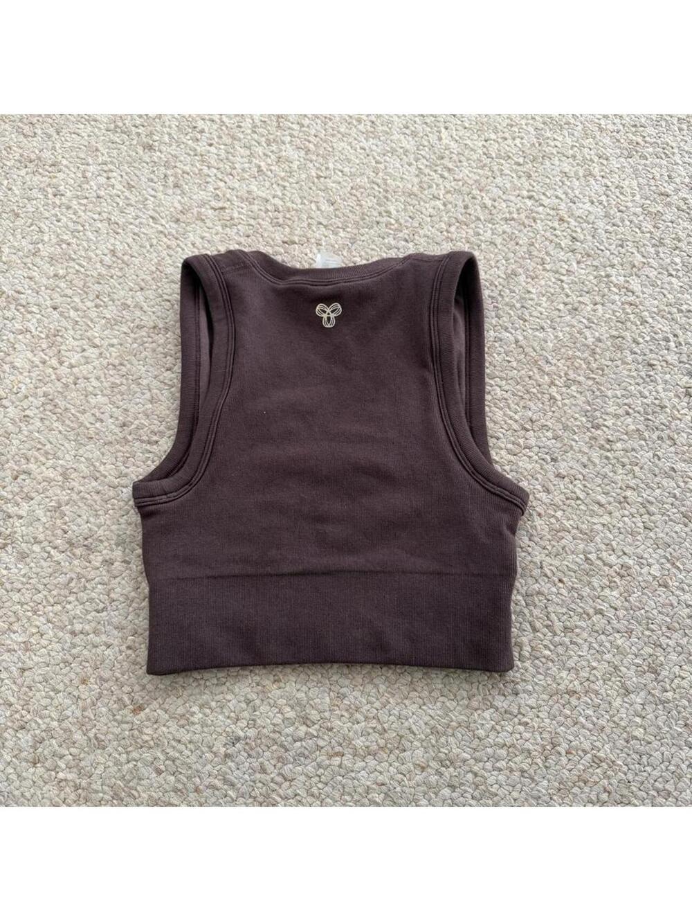 Golden by aritzia brown crop top